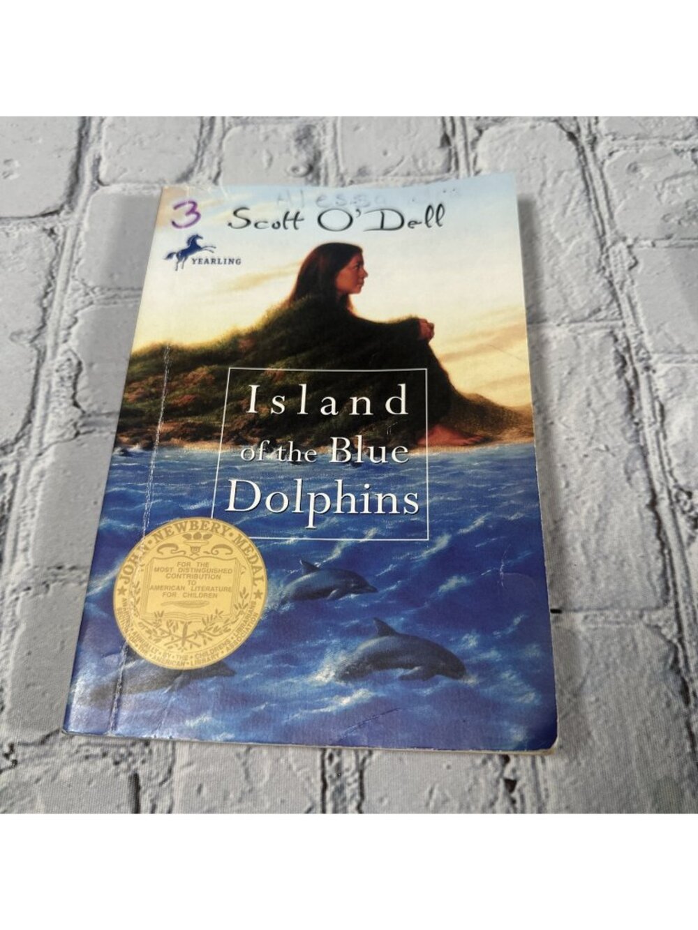Island of the Blue Dolphins - Paperback By O'Dell, Scott - GOOD